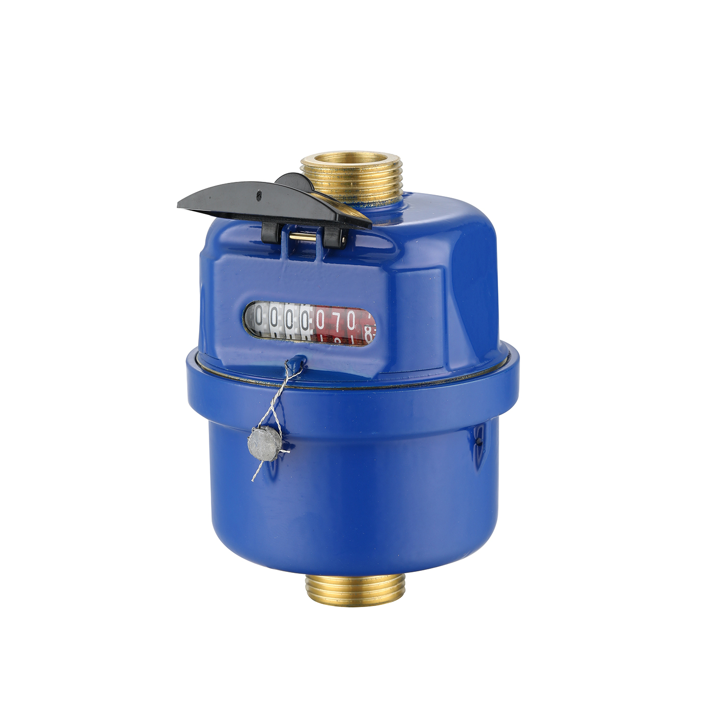 Volumetric Pistion Brass Water Meter R200