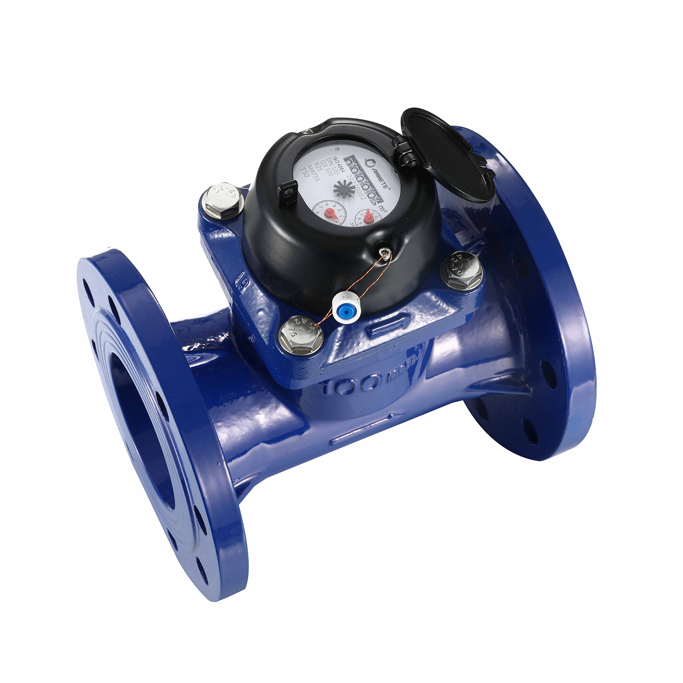 R25 Irrigation Removable Dry type Woltman Water Meter