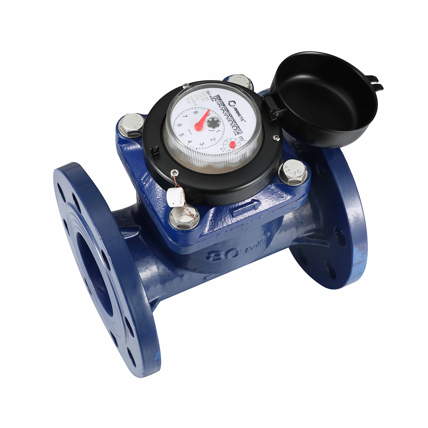 Full Glass sealed Irrigation Removable Dry type Woltman Water Meter
